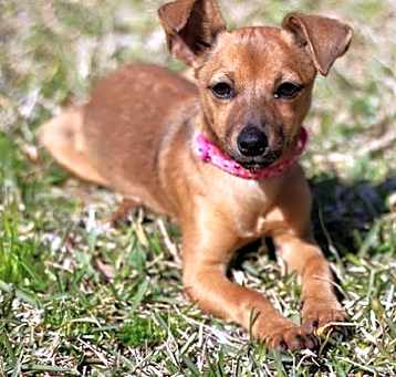 Photo of AMY-ROSE