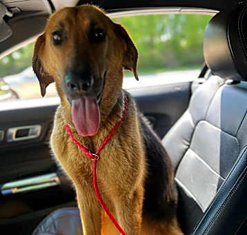 Photo of Ellie Mae
