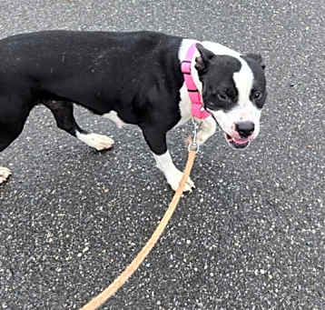 Photo of London: At shelter available 5/7
