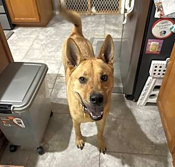 Photo of Benny
