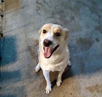 Photo of Lillie