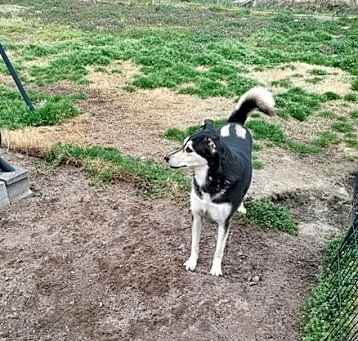 Photo of Luna