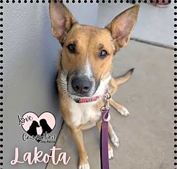 Photo of Lakota
