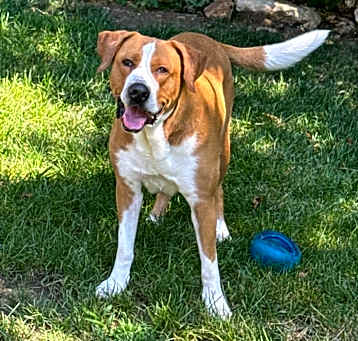 Photo of Winston