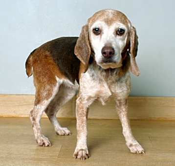 Photo of Lenore D64781