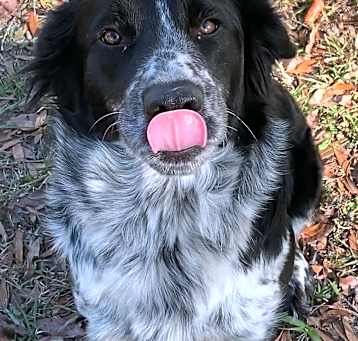 Photo of The Moo Bear