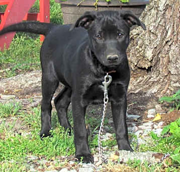 Photo of TESS