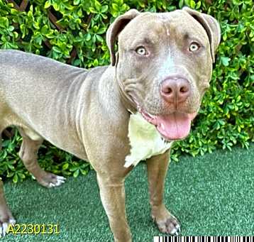 Photo of OSCAR