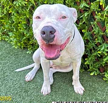 Photo of WILMA