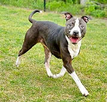 Photo of ESME