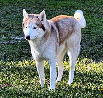 Photo of Buster