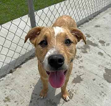 Photo of Cheddar