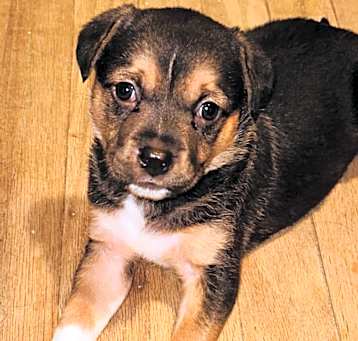 Photo of Betty 