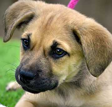 Photo of Persephone