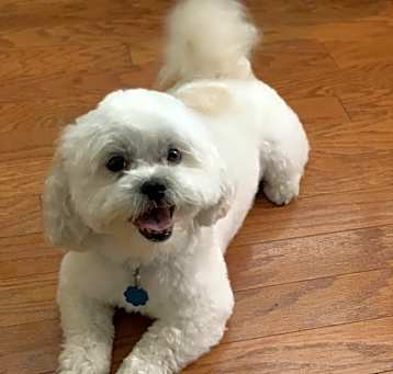 Photo of Cristobal