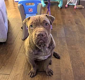 Photo of Hazel