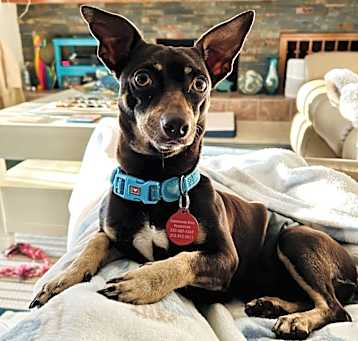 Photo of Choco