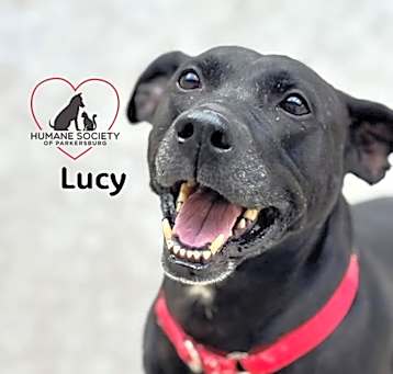 Photo of Lucy
