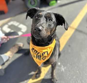 Photo of Sally