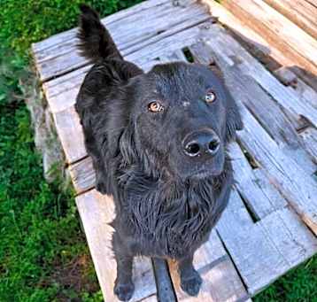 Photo of HARPO