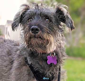 Photo of Kendra