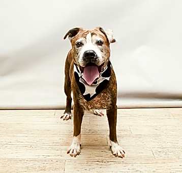 Photo of KING