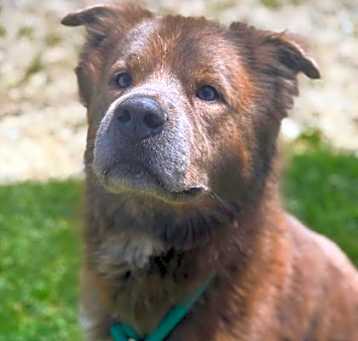Photo of Storm