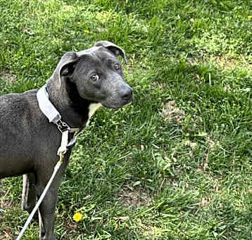 Photo of Zola