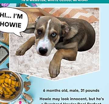 Photo of Howie