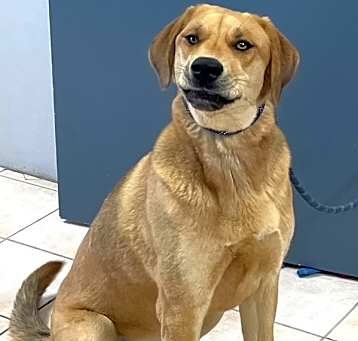 Photo of Tango