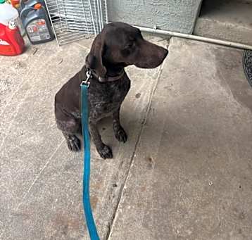 Photo of Penny