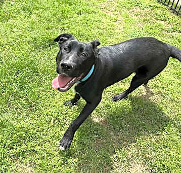 Photo of LACY