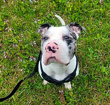 Photo of RYLO