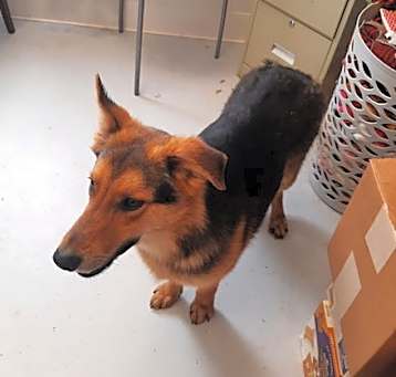 Photo of Thor