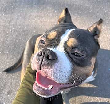Photo of Tank
