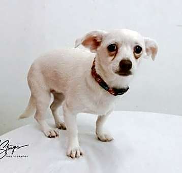 Photo of Pilly