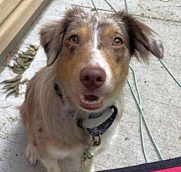 Photo of Jenny