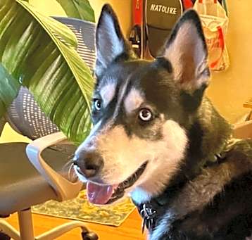 Photo of Jazzi