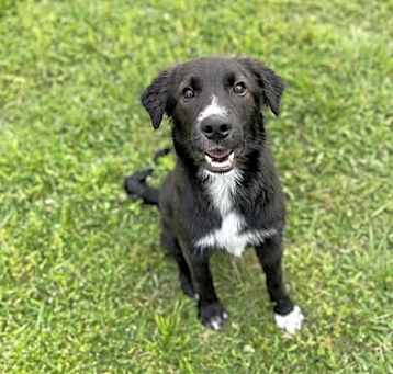 Photo of maggie
