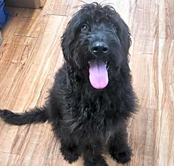Photo of Reggie