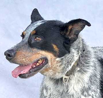 Photo of DRAKO