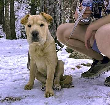 Photo of Maverick