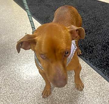 Photo of Gus