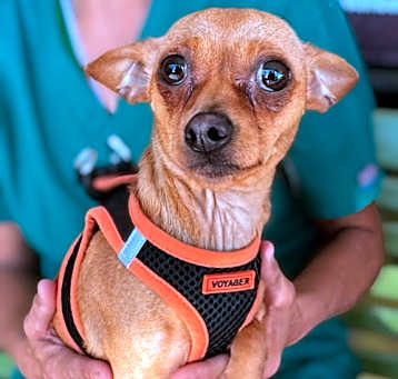 Photo of Wanda
