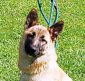 Photo of Lady