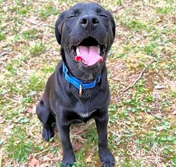 Photo of Whisper ~ meet me!