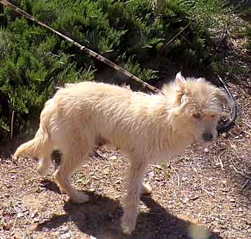 Photo of ANGEL
