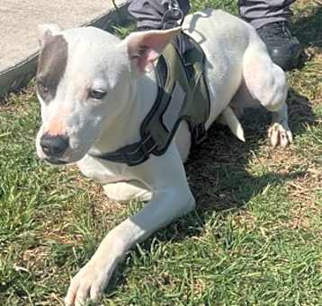 Photo of Nyla