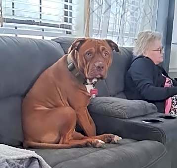 Photo of Syrus
