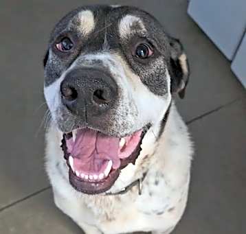 Photo of LENNY